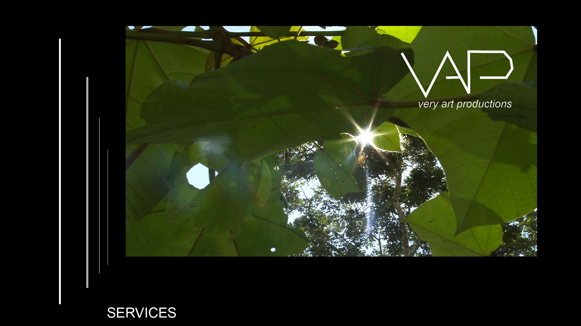 Services